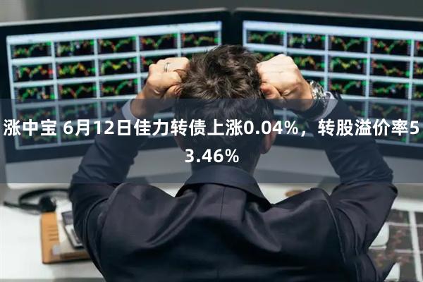 涨中宝 6月12日佳力转债上涨0.04%，转股溢价率53.46%