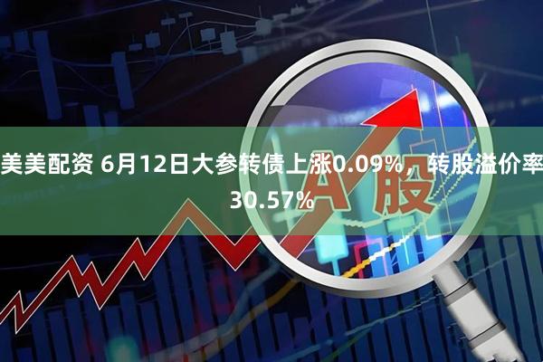 美美配资 6月12日大参转债上涨0.09%，转股溢价率30.57%