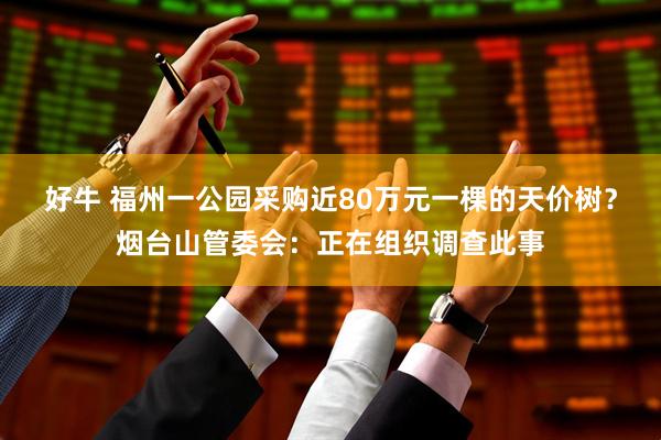 好牛 福州一公园采购近80万元一棵的天价树？烟台山管委会：正在组织调查此事